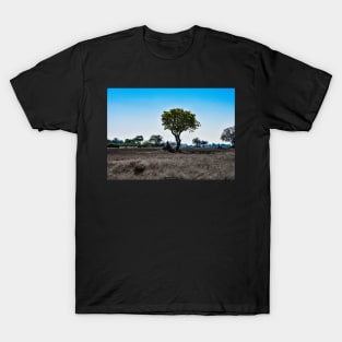 Trees and Termite Mounds T-Shirt